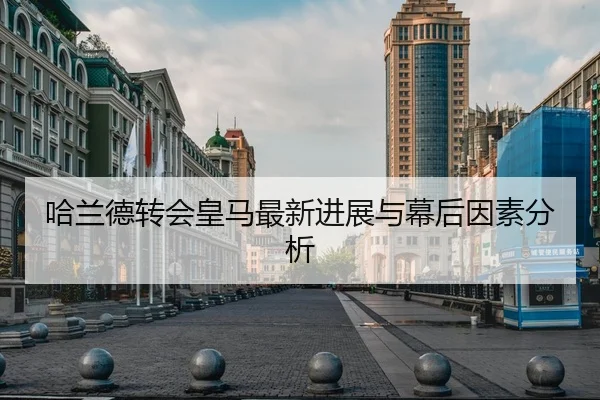 哈兰德转会皇马最新进展与幕后因素分析